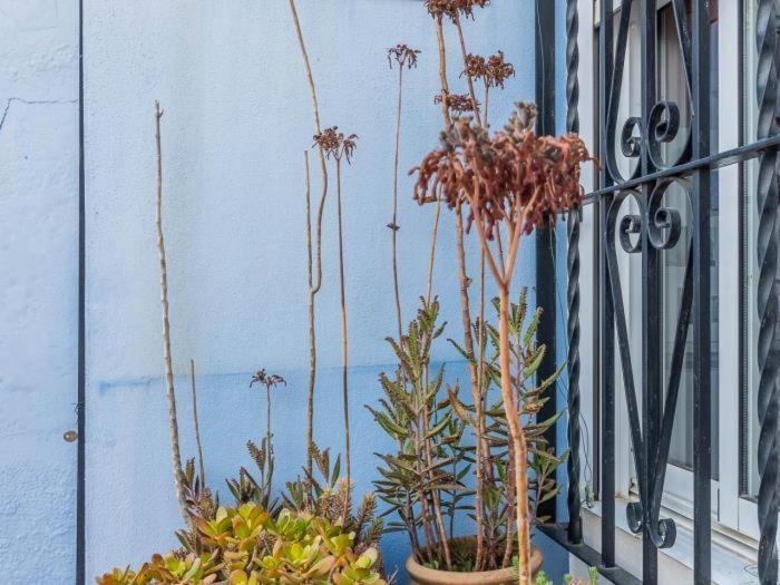 Apartamento Susillo Vacacional Sevilla Esterno foto